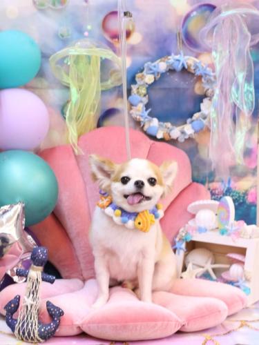 20240818くうくん